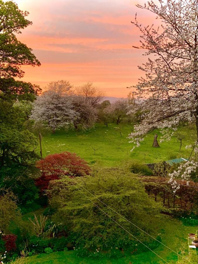 The Ruin Luxury B&B Falkland Buitenkant foto